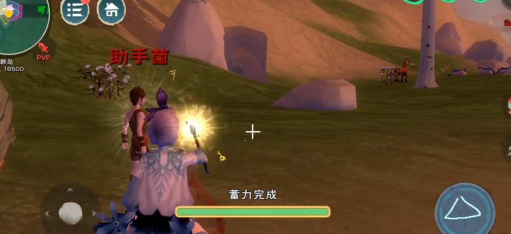 创造与魔法肉盾宠物哪个好