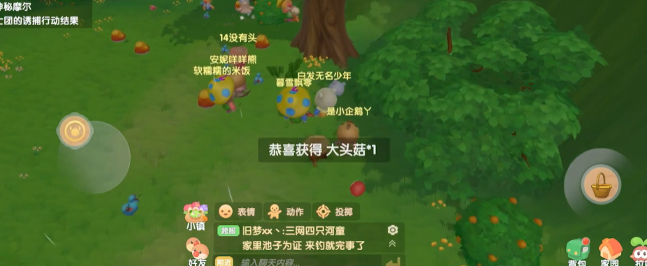 摩尔庄园下雨天怎么捡蘑菇