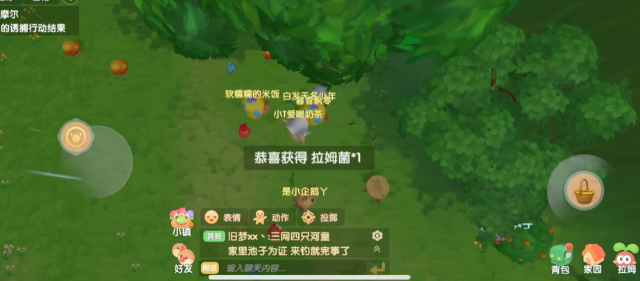 摩尔庄园下雨天怎么捡蘑菇