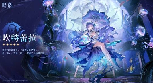 鸣潮强度有什么用