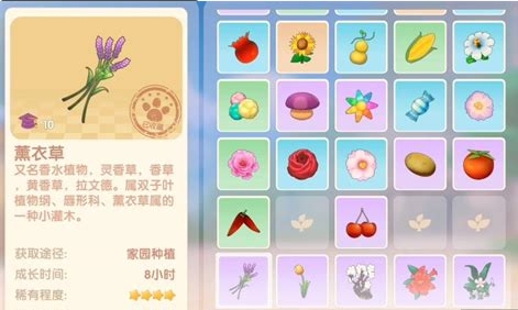 摩尔庄园奇异果冰川虾怎么做