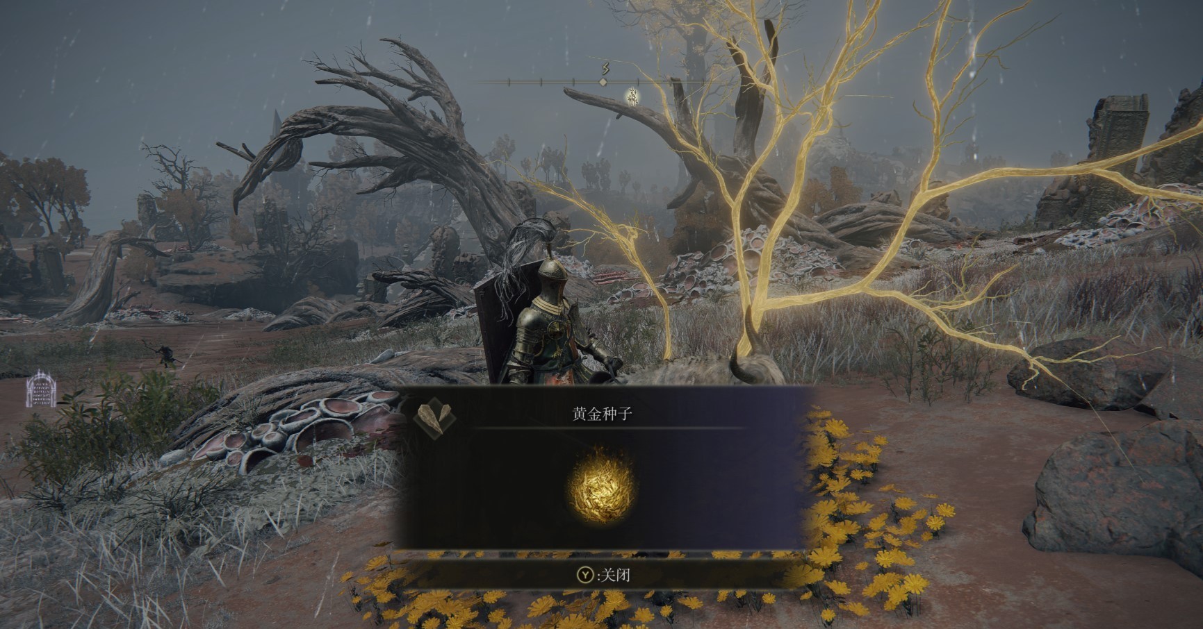 艾尔登法环新手推荐什么路线 艾尔登法环新手推荐什么路线