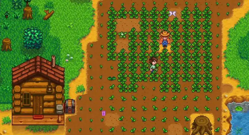 星露谷物语每天干什么 星露谷物语每天干什么