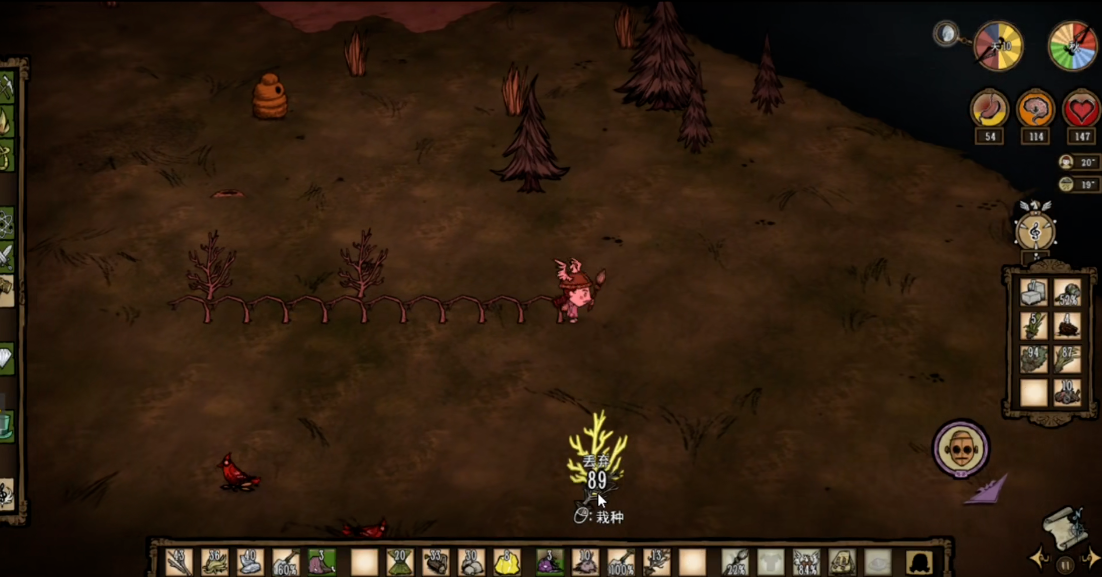 饥荒椰子树怎么种植 饥荒椰子树怎么种植