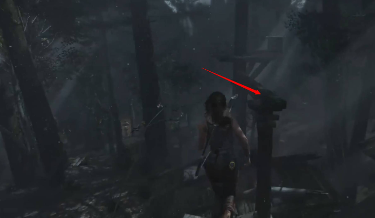 古墓丽影沿岸森林遗物怎么拿