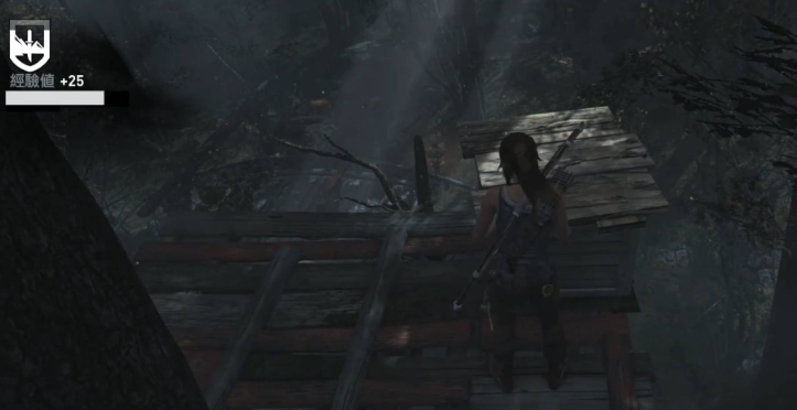 古墓丽影沿岸森林遗物怎么拿