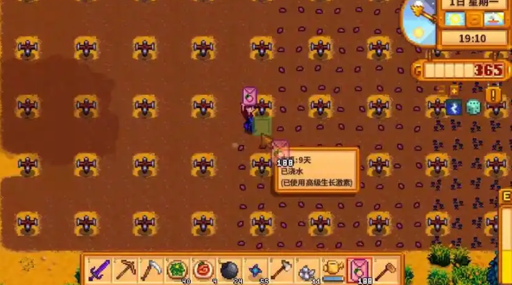 星露谷物语夏季怎么赚钱