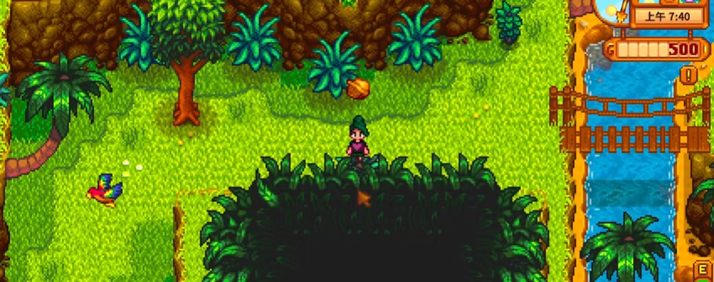 星露谷物语姜岛金核桃在哪里 星露谷物语姜岛金核桃在哪里