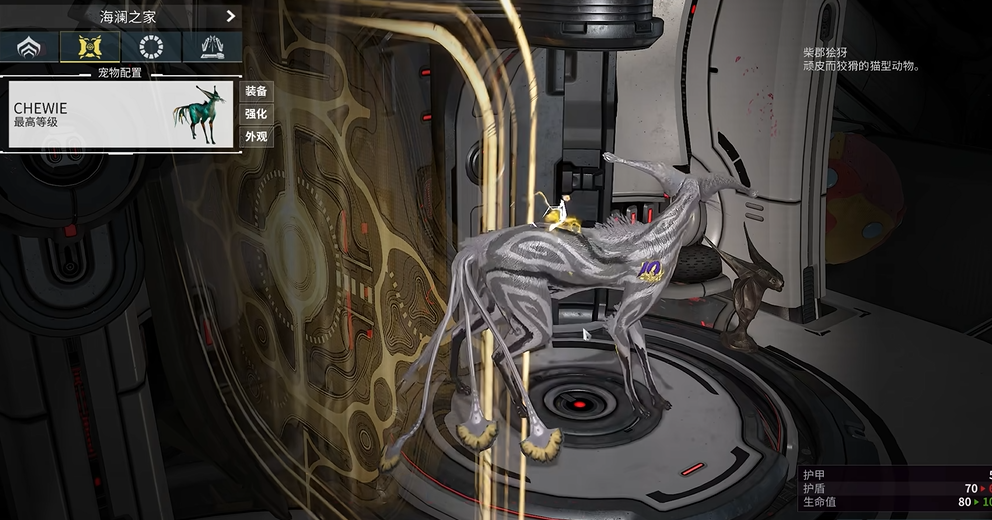 星际战甲好运猫怎么弄