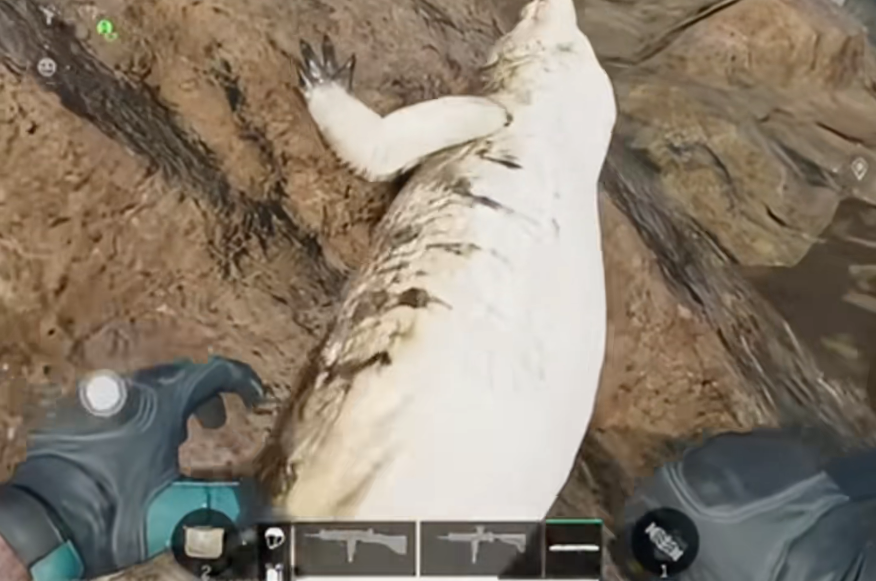 三角洲行动鳄鱼能出金条吗 三角洲行动鳄鱼能出金条吗