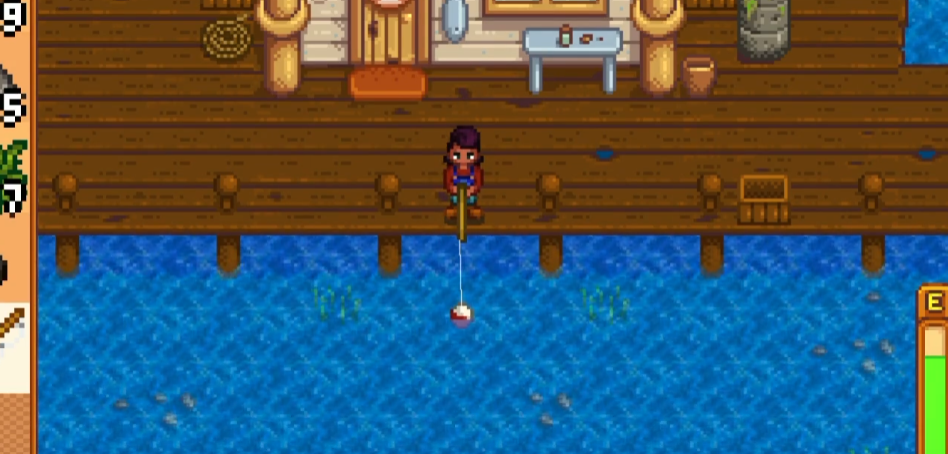 星露谷物语太阳鱼什么时候钓