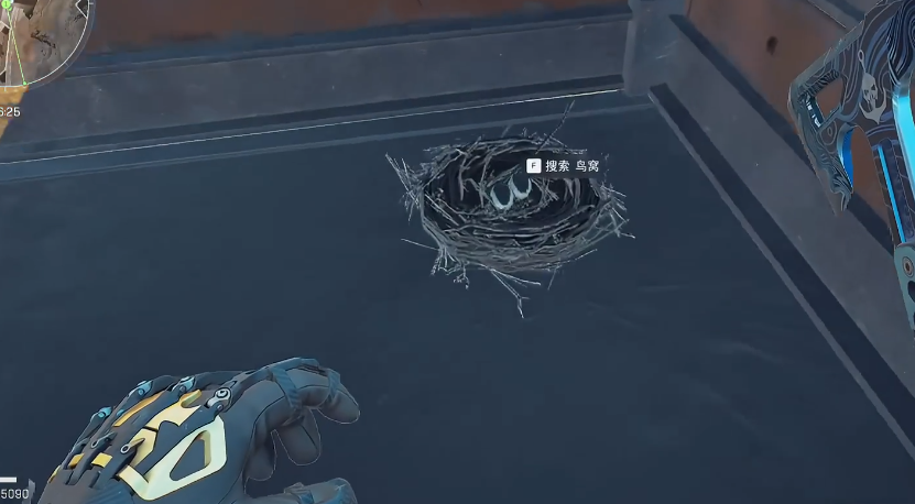 三角洲行动井盖鸟窝有什么