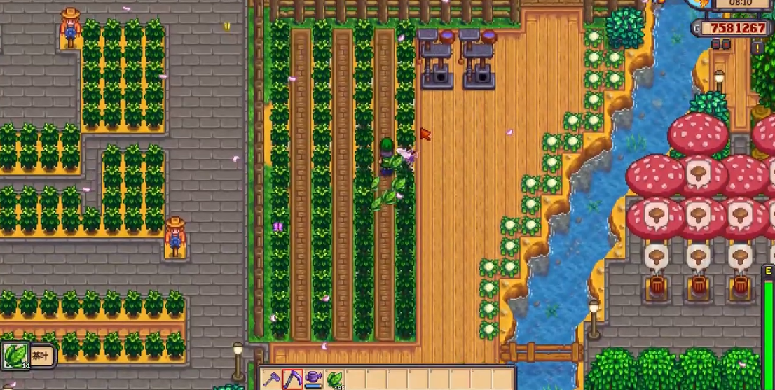 星露谷物语茶苗流怎么玩 星露谷物语茶苗流怎么玩